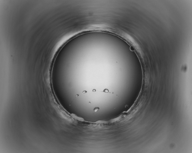 X0000100471336200806131119