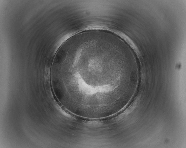 X0000100471337200806131119