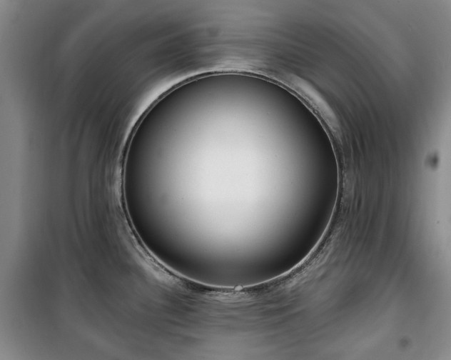 X0000100471340200806131119