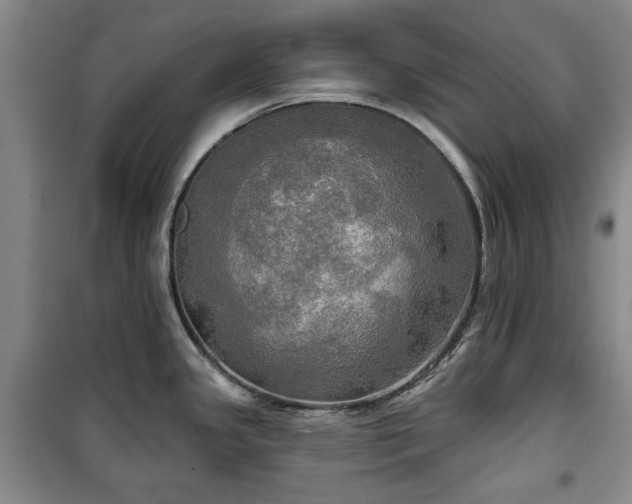 X0000100471341200806131119