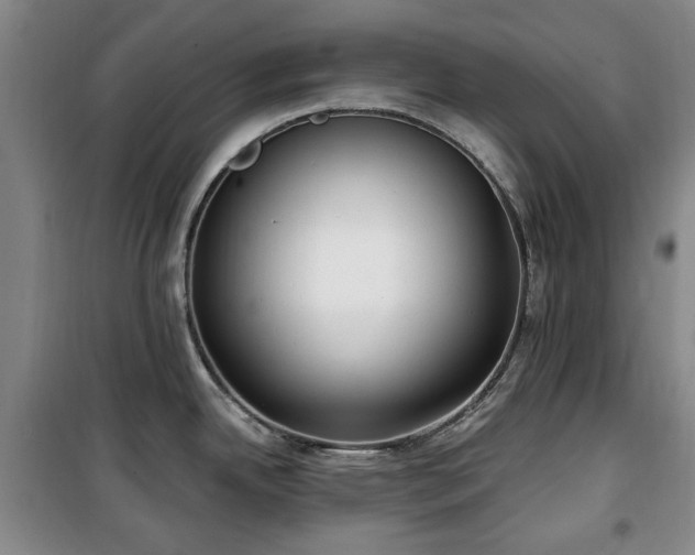 X0000100471342200806131119