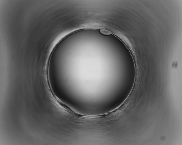 X0000100471344200806131119