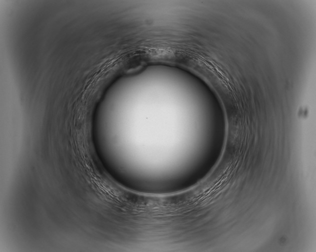 X0000100471345200806131118