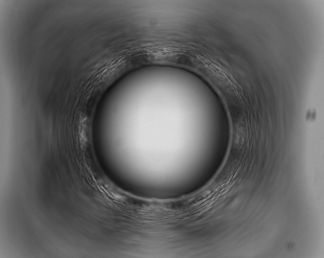 X0000100471346200806131118