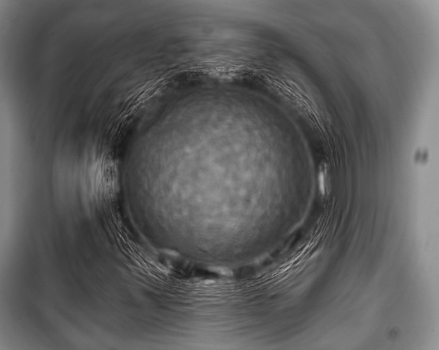 X0000100471347200806131118