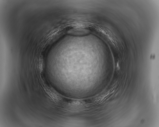 X0000100471348200806131118