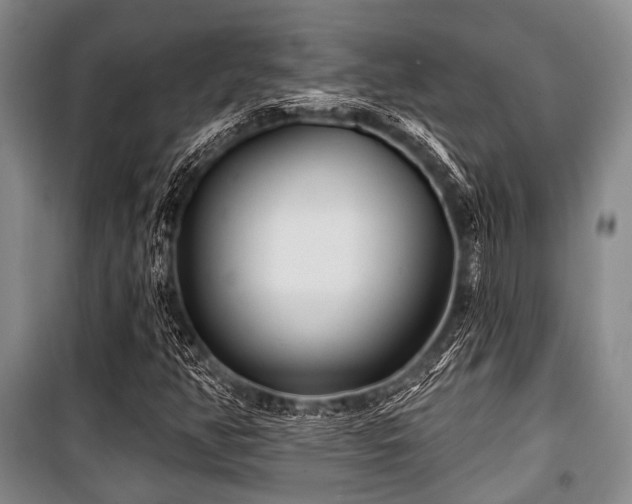 X0000100471350200806131118