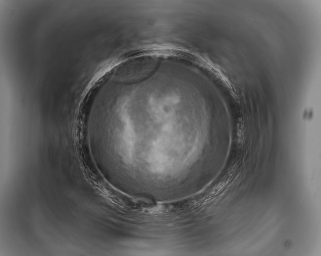 X0000100471352200806131118