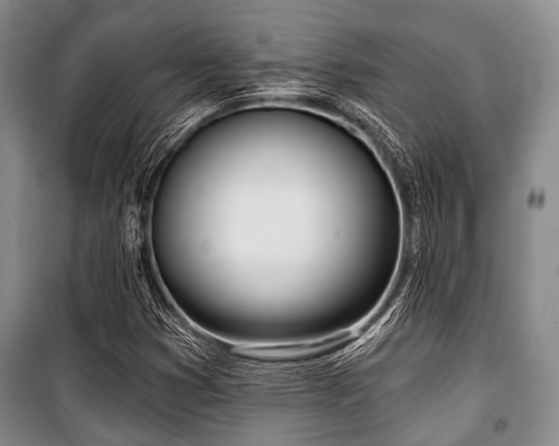 X0000100471353200806131118