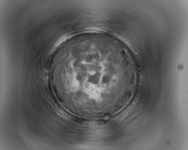 X0000100471355200806131118