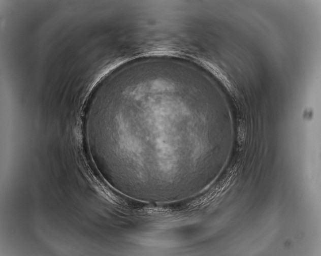 X0000100471356200806131118