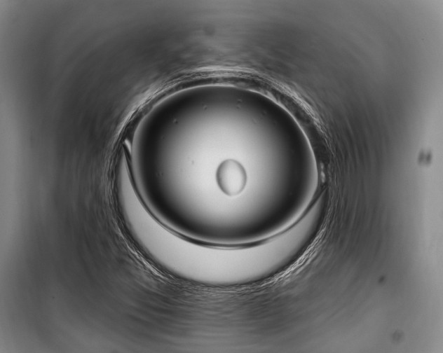 X0000100471357200806131118