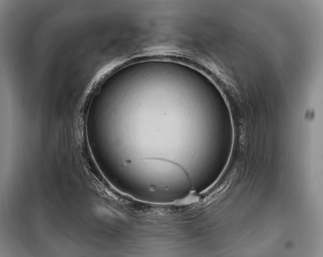 X0000100471358200806131118