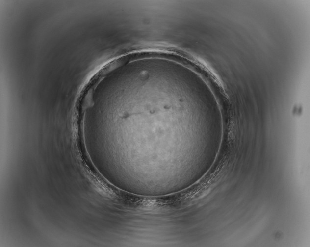 X0000100471360200806131118