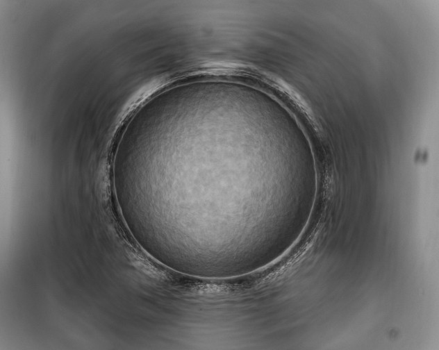 X0000100471362200806131118