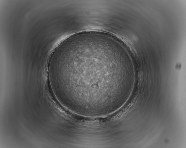 X0000100471363200806131118