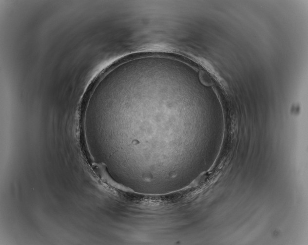 X0000100471364200806131118