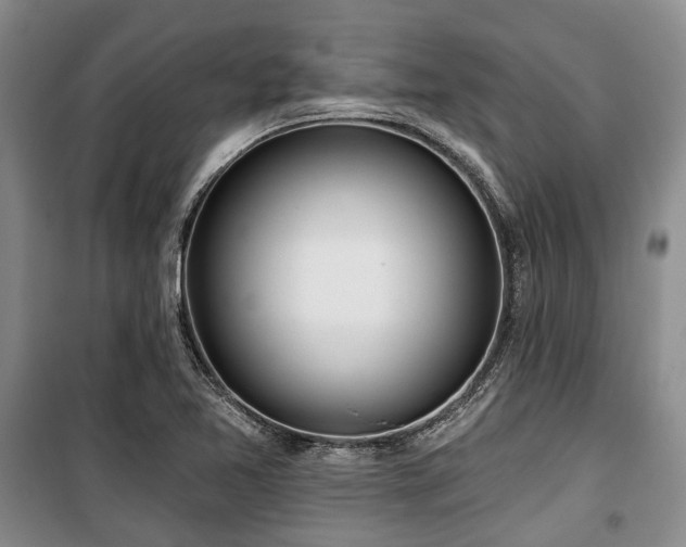 X0000100471365200806131118