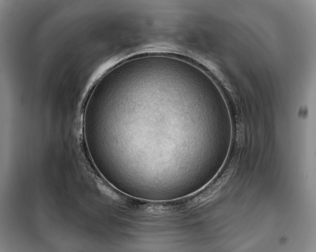 X0000100471366200806131118