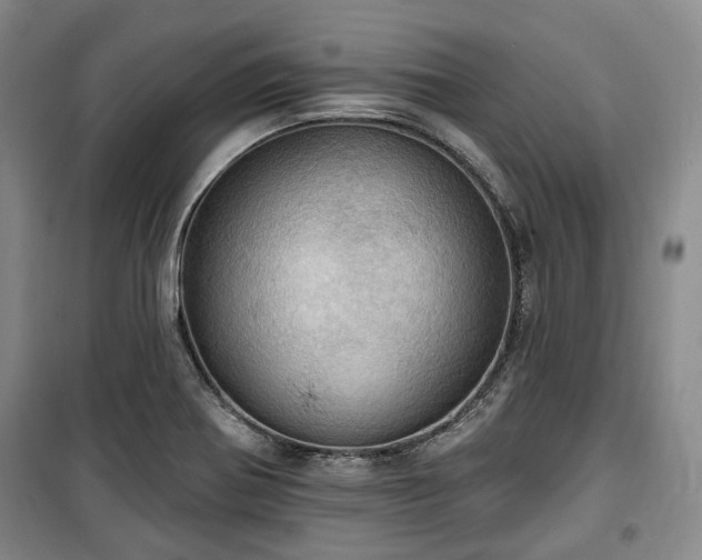 X0000100471370200806131118