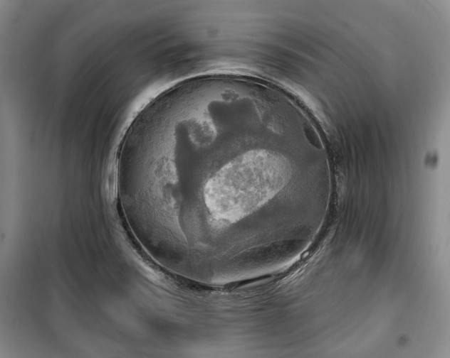 X0000100471371200806131118