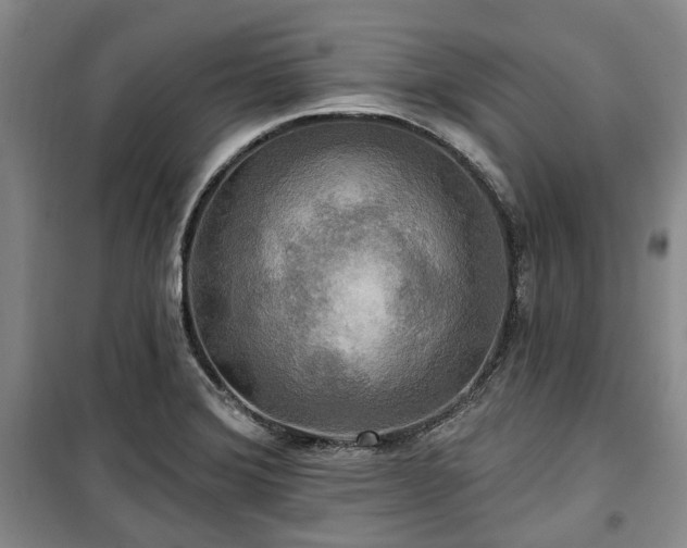 X0000100471372200806131118