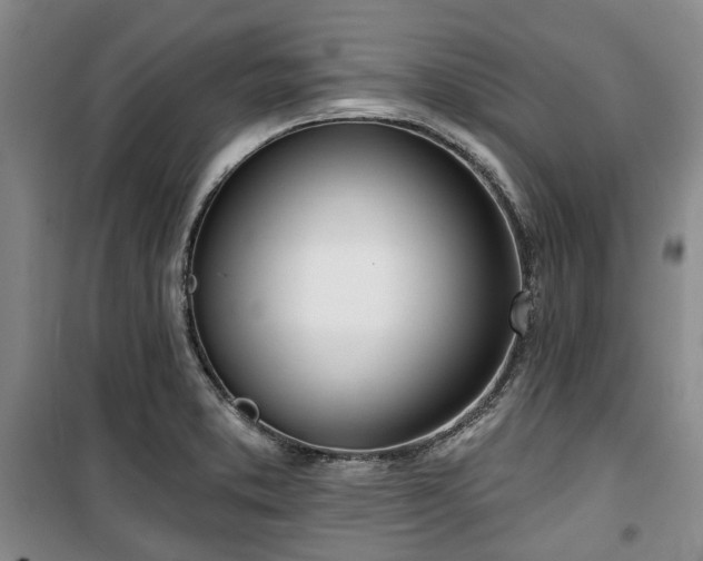 X0000100471373200806131118