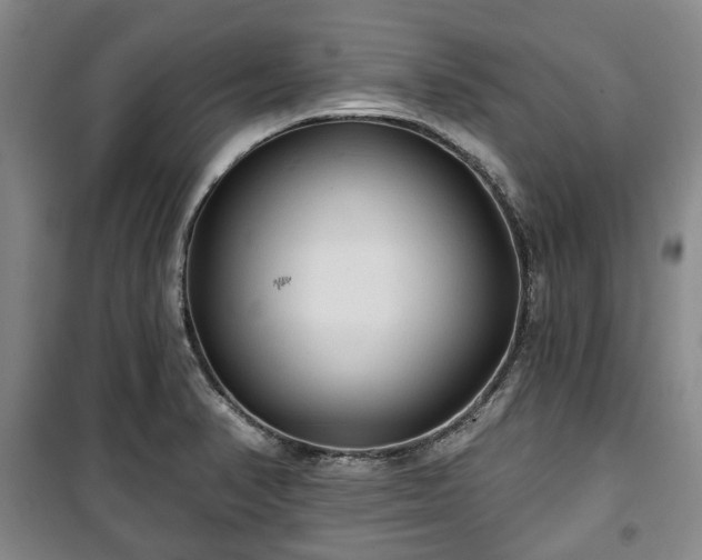 X0000100471374200806131118