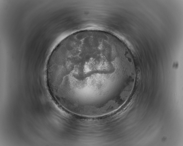 X0000100471375200806131118