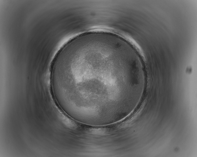 X0000100471376200806131118