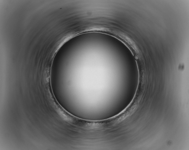 X0000100471377200806131118