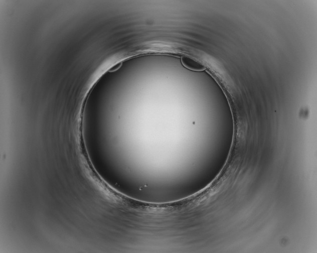 X0000100471378200806131118