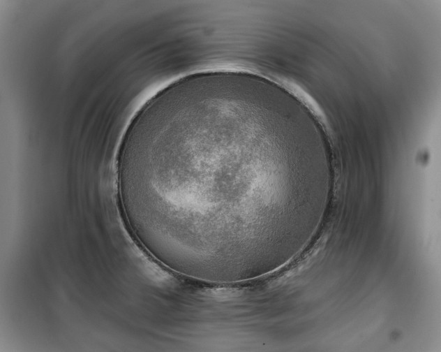 X0000100471380200806131118