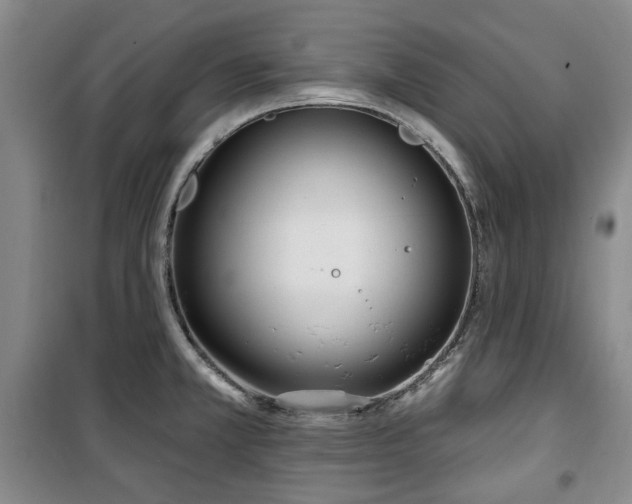 X0000100471381200806131118