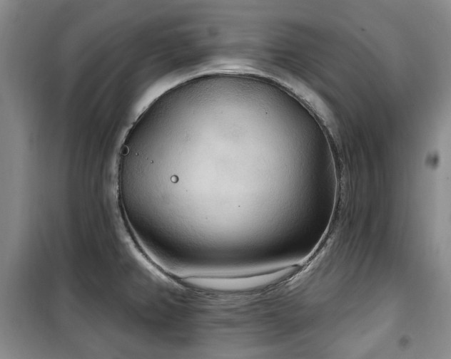 X0000100471382200806131118