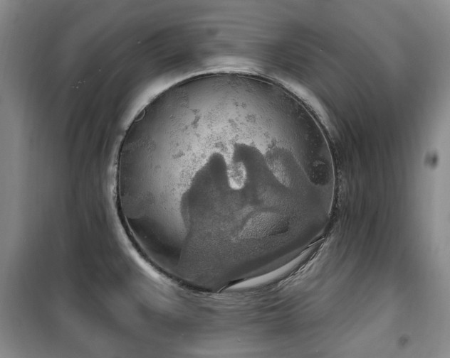 X0000100471383200806131118