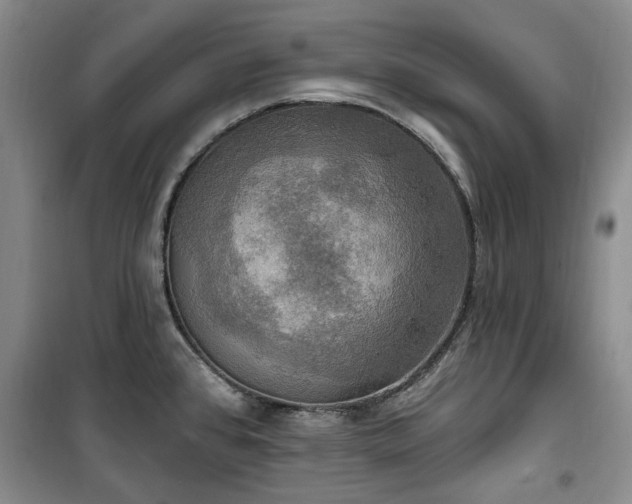 X0000100471384200806131118