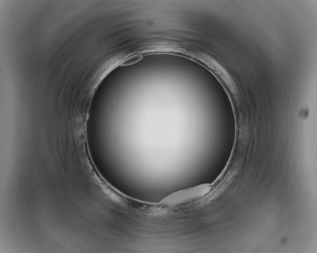 X0000100471385200806131118