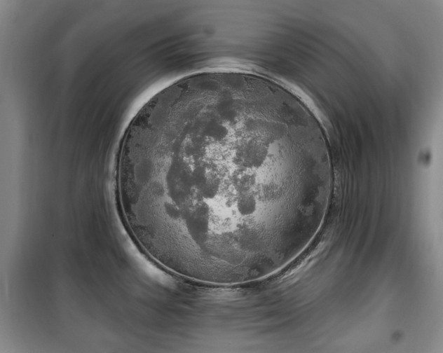 X0000100471387200806131118