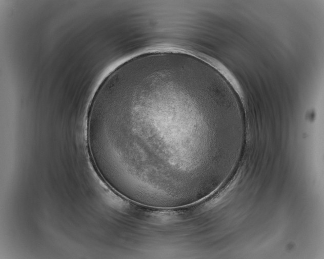 X0000100471388200806131118