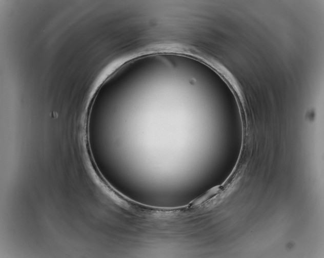 X0000100471389200806131118