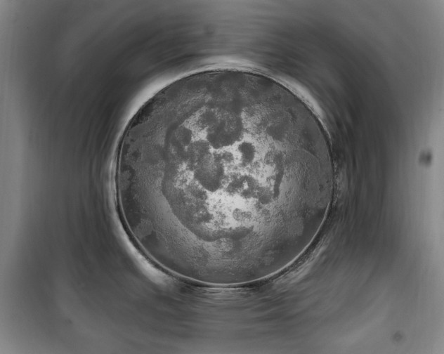 X0000100471391200806131117