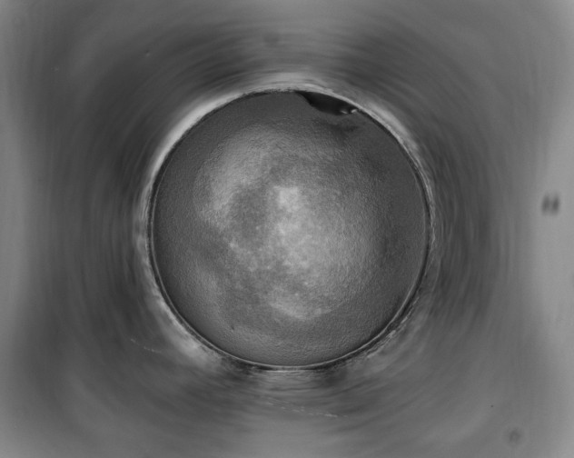 X0000100471392200806131117