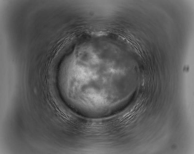 X0000100471393200806131117