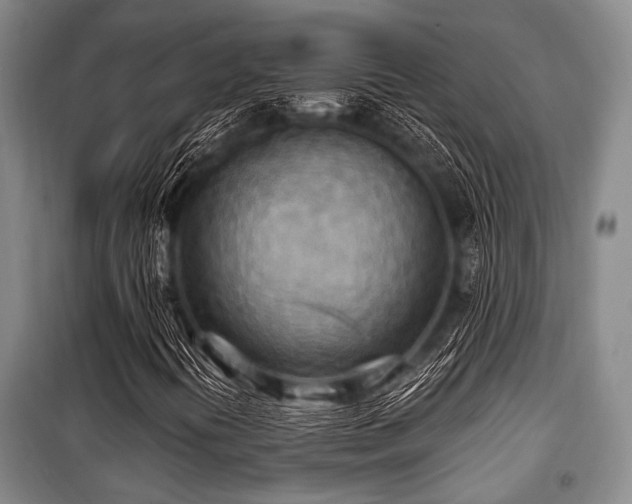 X0000100471394200806131117