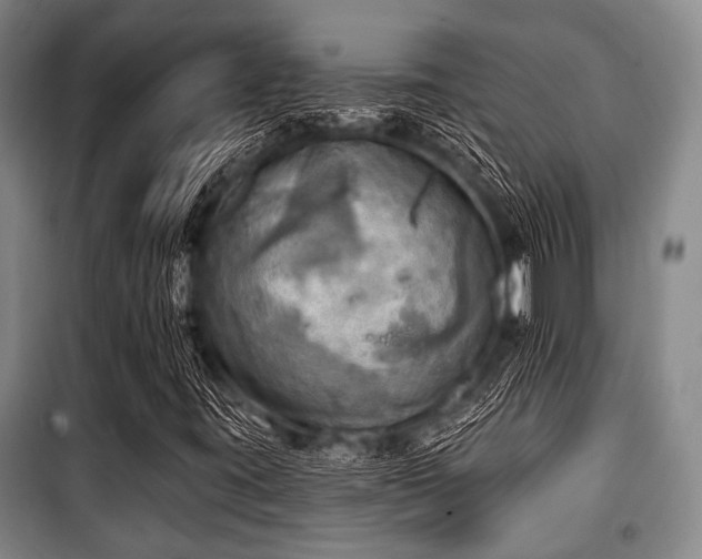 X0000100471395200806131117