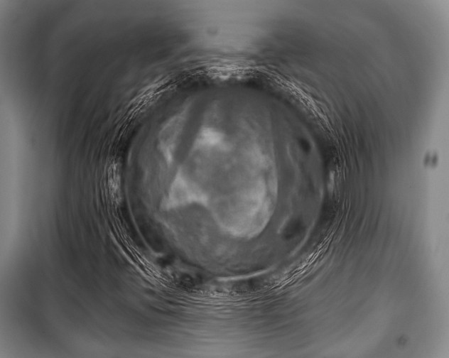 X0000100471396200806131117