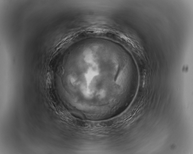 X0000100471397200806131117