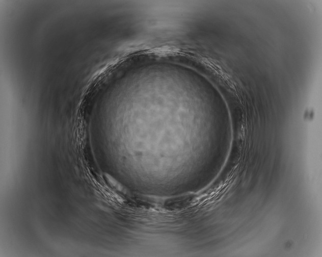 X0000100471398200806131117