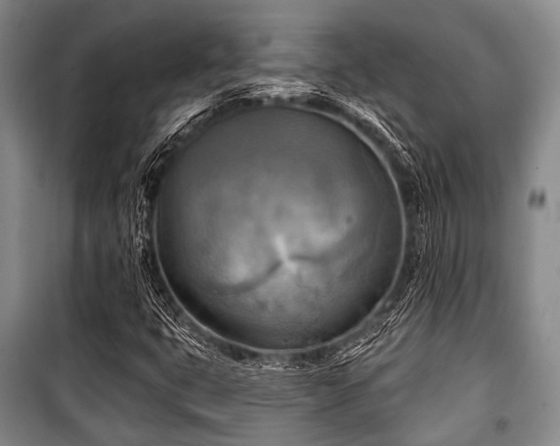 X0000100471399200806131117